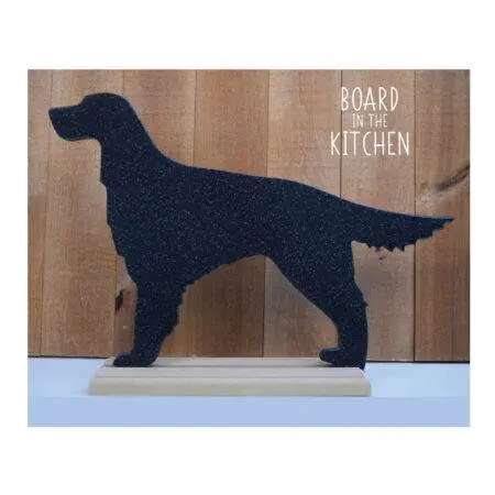 Irish Setter